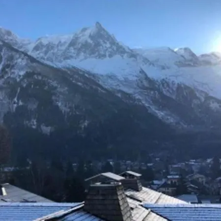 Nice Cosy Apt With Garden In Mont Blanc Appartement